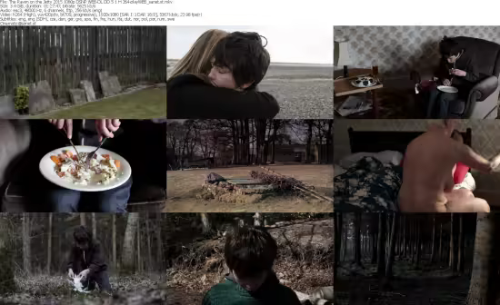 The Raven on the Jetty 2015 1080p DSNP WEB-DL H264-playWEB