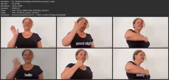 British Sign Language -Learn Bsl Like A Pro Essential Skills