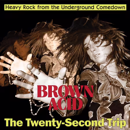 VA - Brown Acid - The Twenty Second Trip (2026)