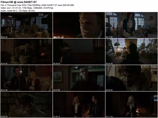 A Thousand Cuts 2024 720p WEBRip-LAMA