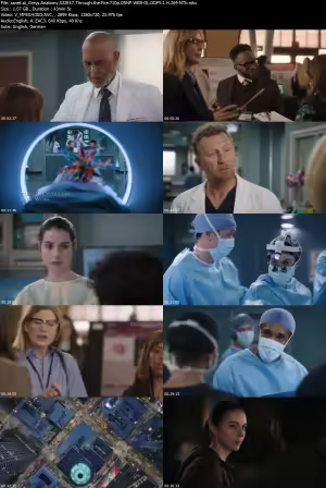 Greys Anatomy S22E17 Through the Fire 720p DSNP WEB-DL DDP5 1 H 264-NTb