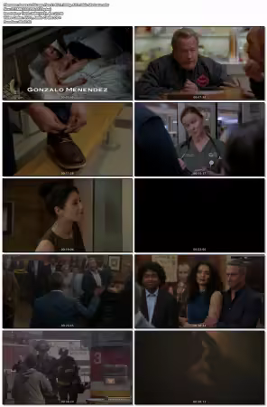 Chicago Fire S14E21 1080p AV1 10bit-MeGusta