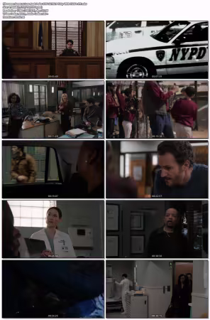 Law And Order SVU S27E21 720p WEB H264-JFF