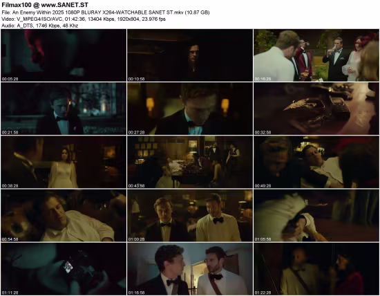 An Enemy Within 2025 1080P BLURAY X264-WATCHABLE