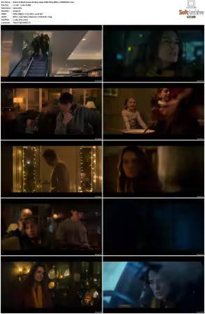 Black Doves S01 1080p WEB H264 DDP5.1-DERMAGiC