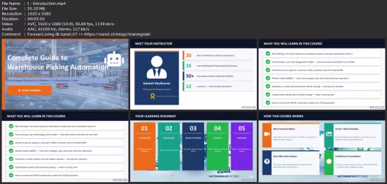 Warehouse Automation: Picking Automation &amp; Strategies