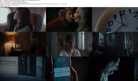 La Abuela 2021 1080p AMZN WEB-DL H264-SPWEB