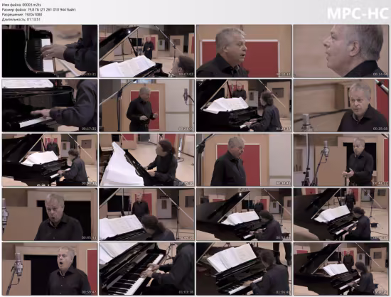Franz Schubert: Winterreise - Christoph Pregardien, Michael Gees (2013) Blu-ray