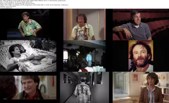 Robin Williams Come Inside My Mind 2018 1080p AMZN WEB-DL H264-monkee