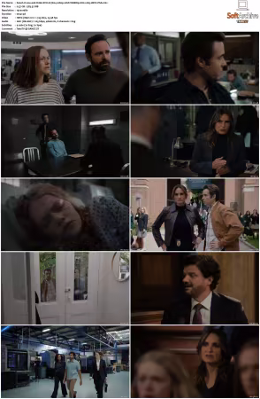 Law and Order SVU S27 1080p 10bit WEBRip 6CH x265 HEVC-PSA
