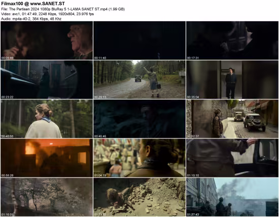 The Partisan 2024 1080p BluRay 5.1-LAMA