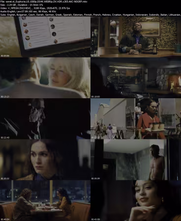 Euphoria US 1080p DS4K WEBRip DV HDR x265 AAC-NOGRP