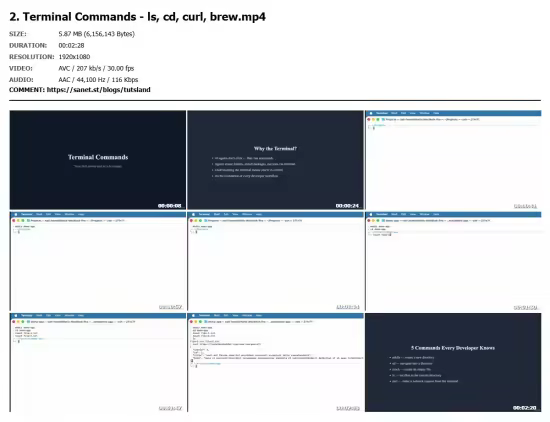 AI-Assisted Software Development