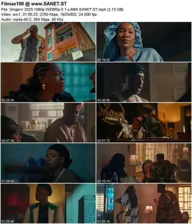 Gingerrr 2025 1080p WEBRip 5.1-LAMA