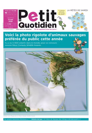Le Petit Quotidien - 15 mai 2026