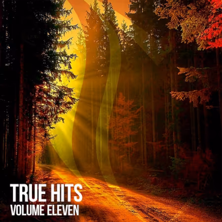 VA - True Hits Vol.11 (2026)
