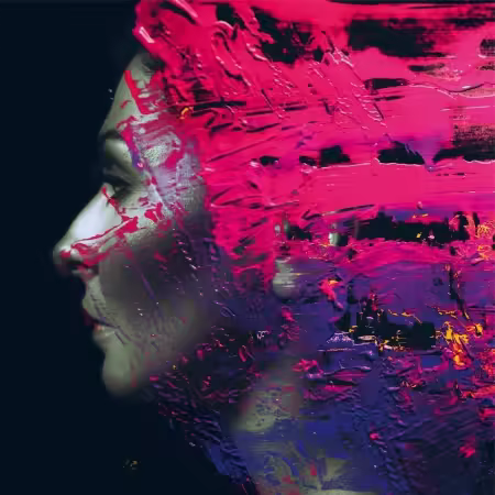 Steven Wilson – Hand. Cannot. Erase. (Definitive Edition) (2026) MP3