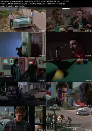 Roadhouse 66 1984 1080p WEB-DL HEVC x265 BONE