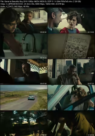 Beautiful Boy 2018 1080p AMZN WEB-DL DDP 5.1 H264-PiRaTeS