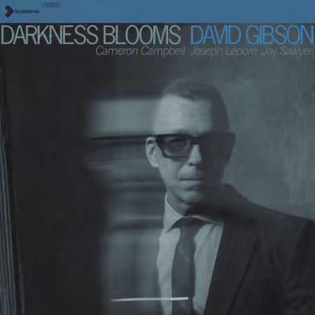 David Gibson - Darkness Blooms (2026)