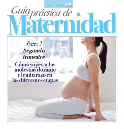 Guía práctica de Maternidad - Fasciculo 2 2026