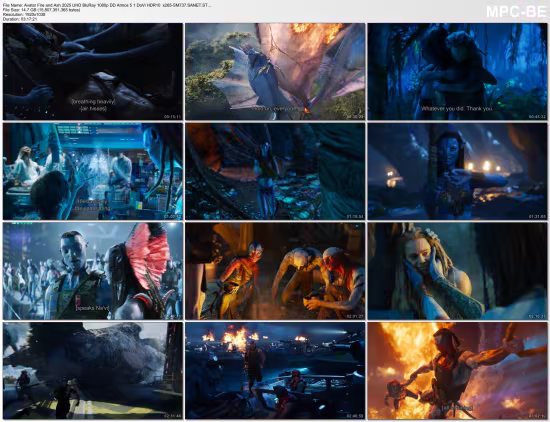 Avatar Fire and Ash 2025 UHD BluRay 1080p DD Atmos 5.1 DoVi HDR10 x265-SM737