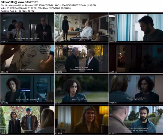 Schattenmord Unter Feinden 2025 1080p WEB-DL AAC H 264-NGP