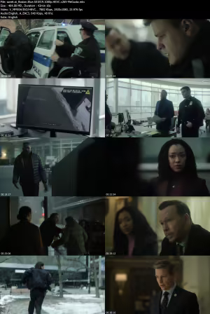 Boston Blue S01E19 1080p HEVC x265-MeGusta