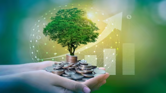 Esg &amp; sustainability reporting professional course