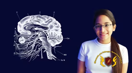 Cranial Nerves Anatomy Simplified