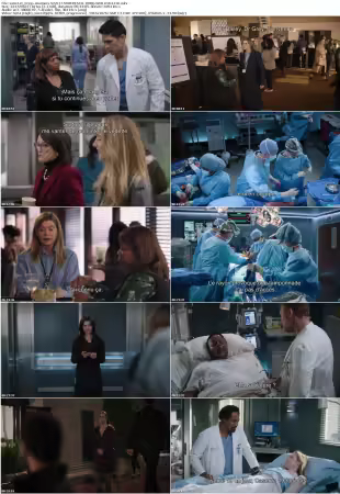Greys Anatomy S22E17 SUBFRENCH 1080p WEB H264-FW