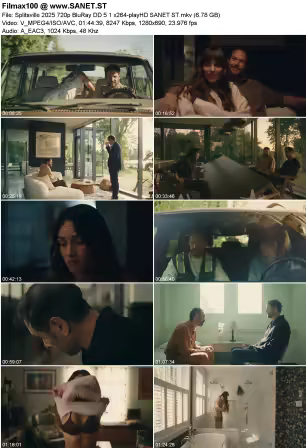 Splitsville 2025 720p BluRay DD5.1 x264-playHD