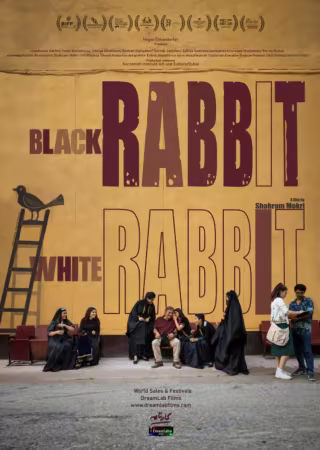 Black Rabbit White Rabbit 2025 1080p BluRay-WORLD