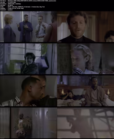 Bad Boys 1995 2160p DSNP WEB-DL DDP5.1 Atmos HDR10 H265-TURG