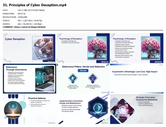 Critical Concepts in Cyber Deterrence and Resilience