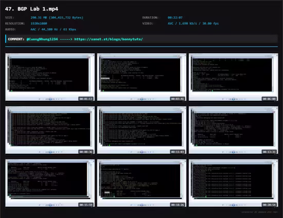 Cisco Troubleshooting Labs For CCNA, CCNP, and CCIE Students