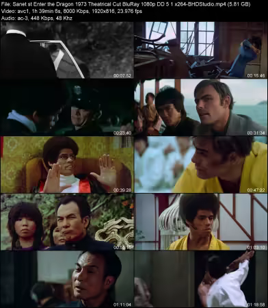 Enter the Dragon 1973 Theatrical Cut BluRay 1080p DD 5.1 x264-BHDStudio