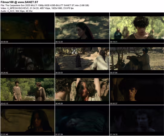 The Carpenters Son 2025 MULTi 1080p WEB H265-BULiTT