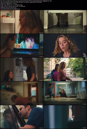 Maximum Pleasure Guaranteed S01E01 MULTI 1080p WEB H264-HiggsBoson