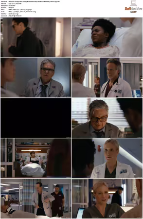 Chicago Med S11 1080p WEBRip 10Bit DDP5.1 HEVC-d3g