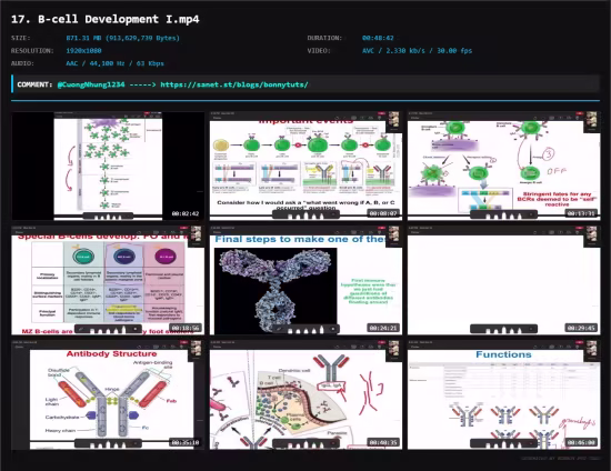 Mastering Immunology - a Comprehensive Course