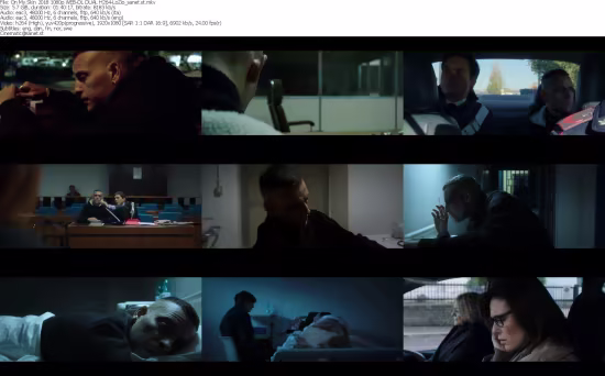 On My Skin 2018 1080p WEB-DL NF DUAL H264-LoZio