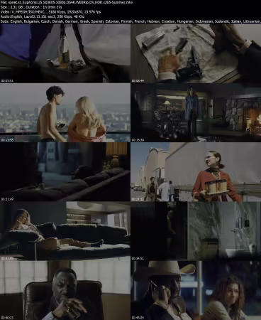 Euphoria US S03E05 1080p DS4K WEBRip DV HDR x265-Summer