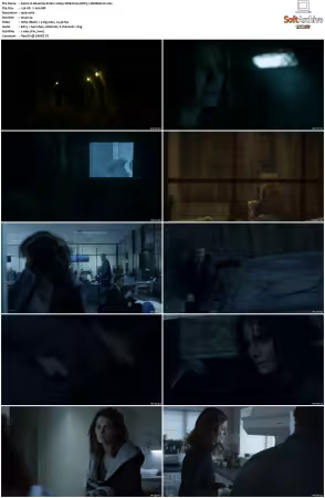 Absentia S01 S03 1080p WEB H264 DDP5.1-DERMAGiC