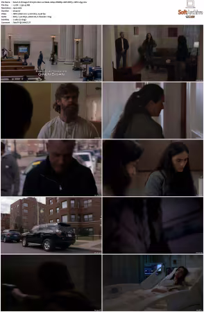 Chicago P D S13 1080p WEBRip 10Bit DDP5.1 HEVC-d3g