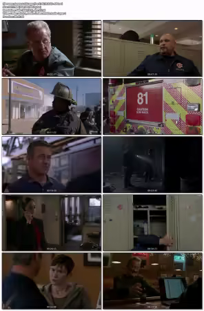 Chicago Fire S14E19 XviD-AFG