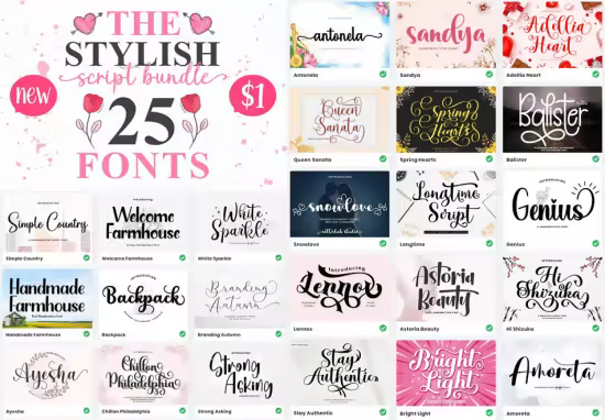 The Stylish Script Bundle - 25 Premium Fonts
