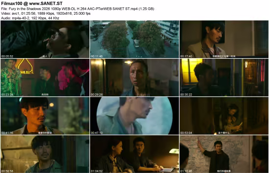 Fury in the Shadows 2026 1080p WEB-DL H 264 AAC-PTerWEB