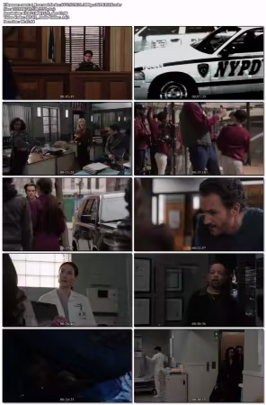 Law and Order SVU S27E21 1080p x265-ELiTE