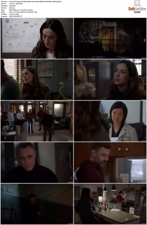 Chicago P D S13 1080p WEBRip 10Bit DDP5.1 HEVC-d3g